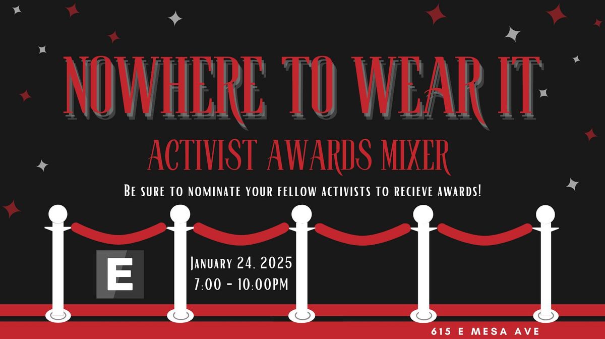 Nowhere to Wear It Activist Awards Mixer