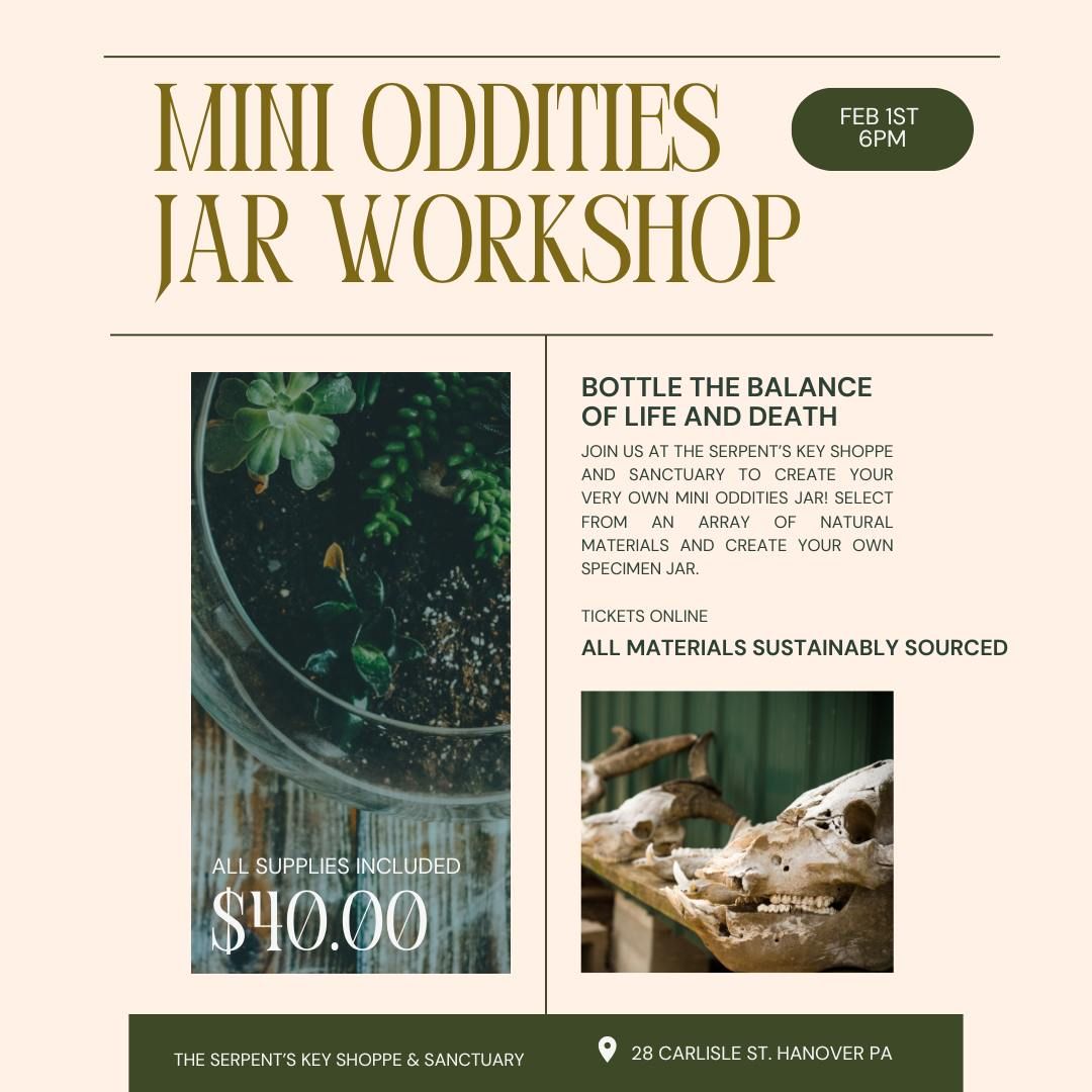 Mini Oddities Jar Workshop