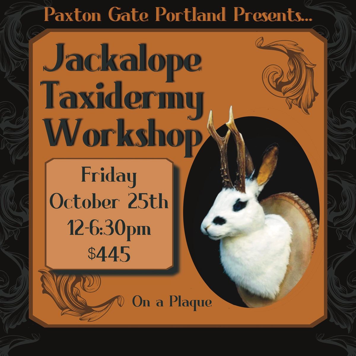 Jackalope Taxidermy Workshop