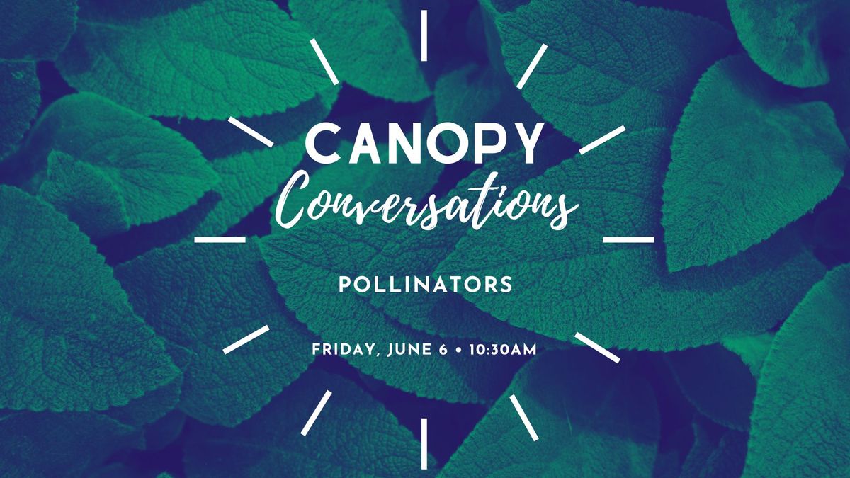 Canopy Conversations: Pollinators