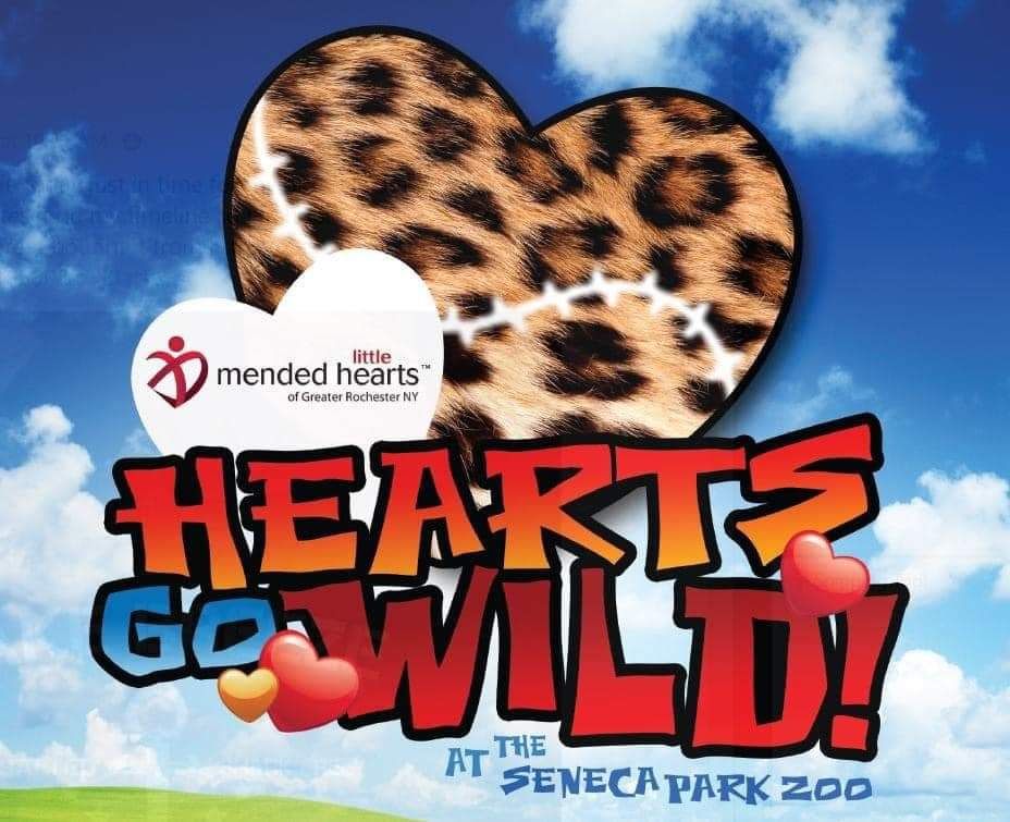 13th Annual MLH Hearts Go Wild Family Picnic at Seneca Park Zoo - August 3rd!