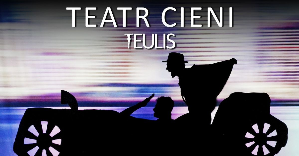 Szczecin: TEATR CIENI TEULIS - Spektakl "Twoja Fantazja"