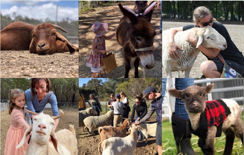 Possum Valley Animal Sanctuary Evening Tour