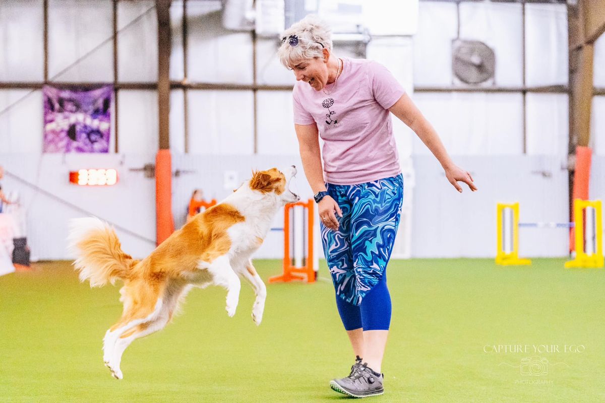 Daisy Peel Agility Seminar March 2025