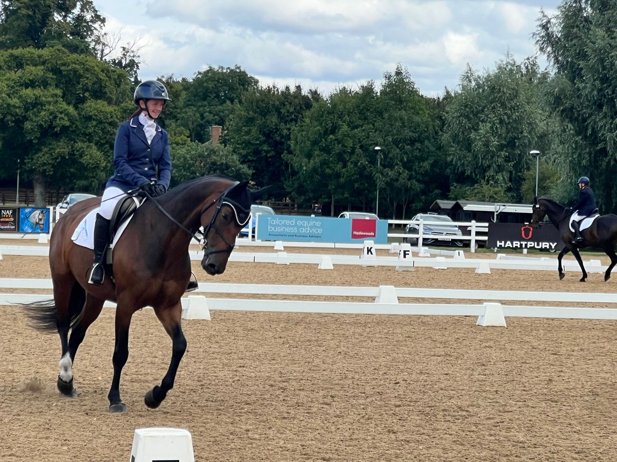 Evening Dressage Training @Conquest - Members only