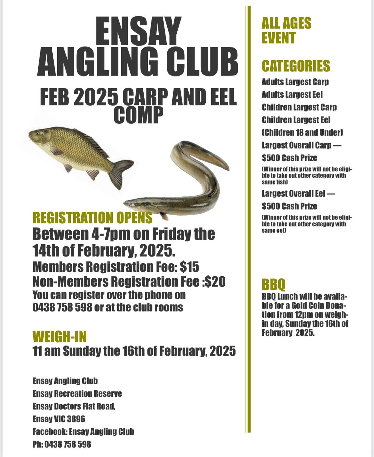 Carp and Eel Comp