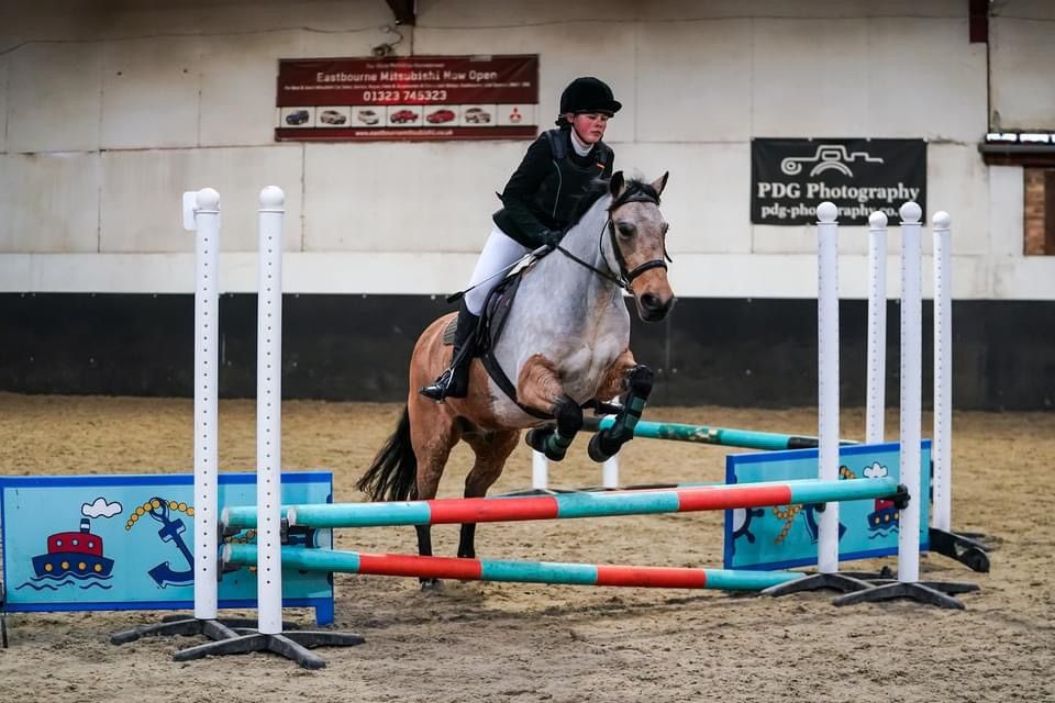 The RKF Chiropractic Winter Show Jumping Series Show 2 OPEN TO ALL