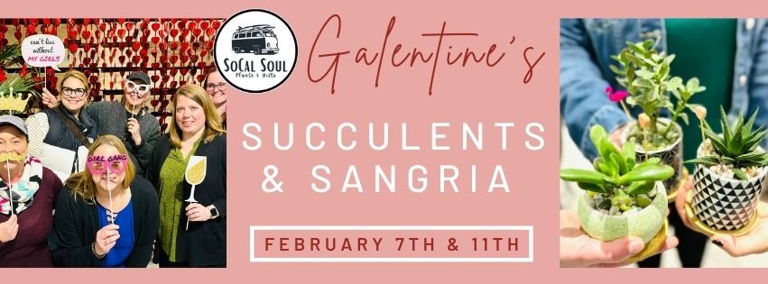 Galentine's Succulents & Sangria