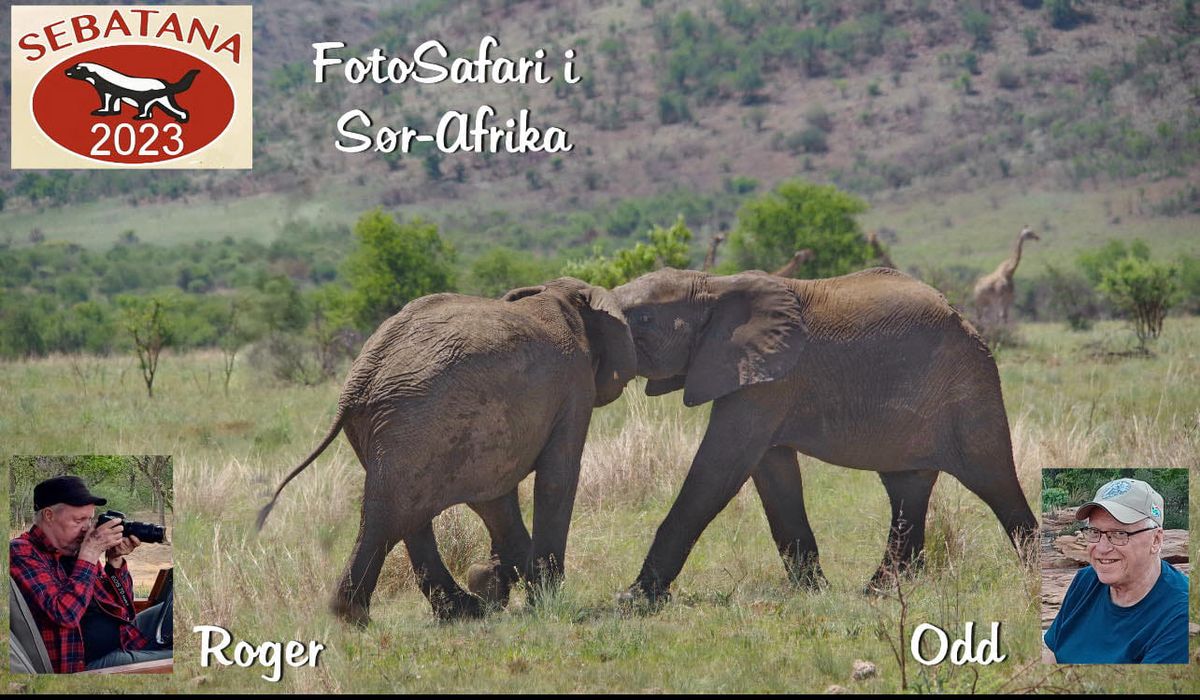 Medlemskveld med fotosafari i S\u00f8r-Afrika