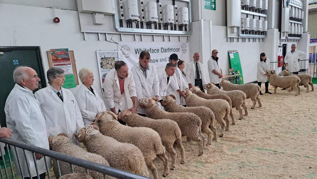 Annual Breed Show and Sale