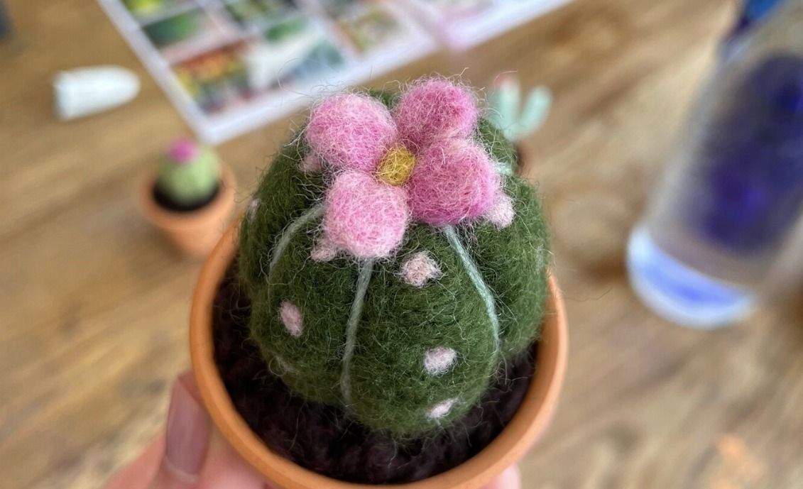 Needle Felted Succulent