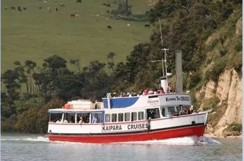 Tutukaka to Kaipara Harbour Adventure