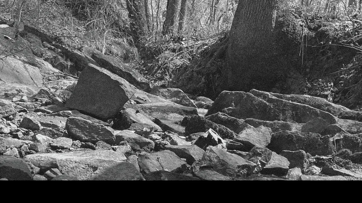 The Avett Brothers, The Infamous Stringdusters in Asheville