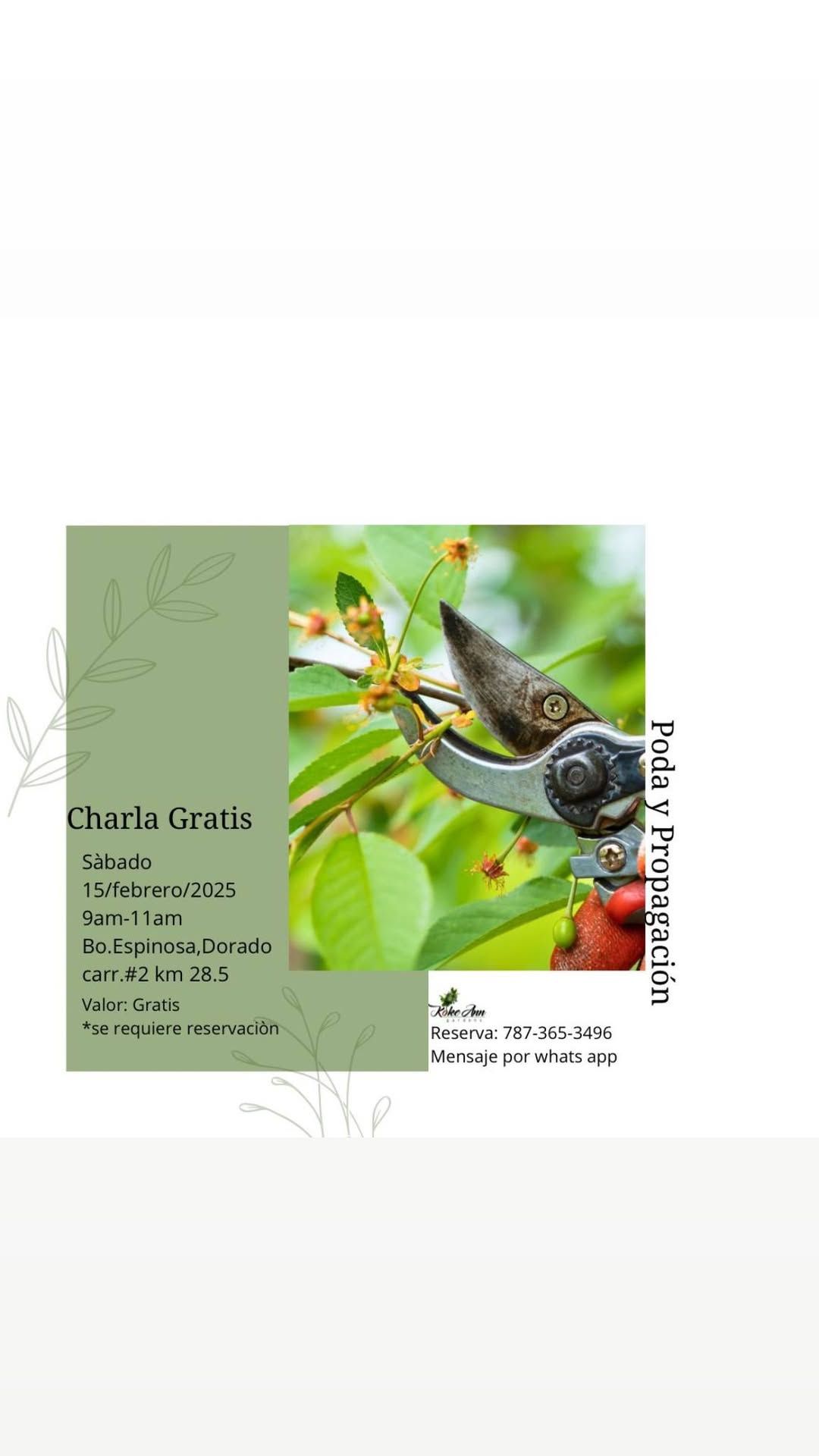 Charla Gratis: Poda y Propagaci\u00f3n para tus plantas 