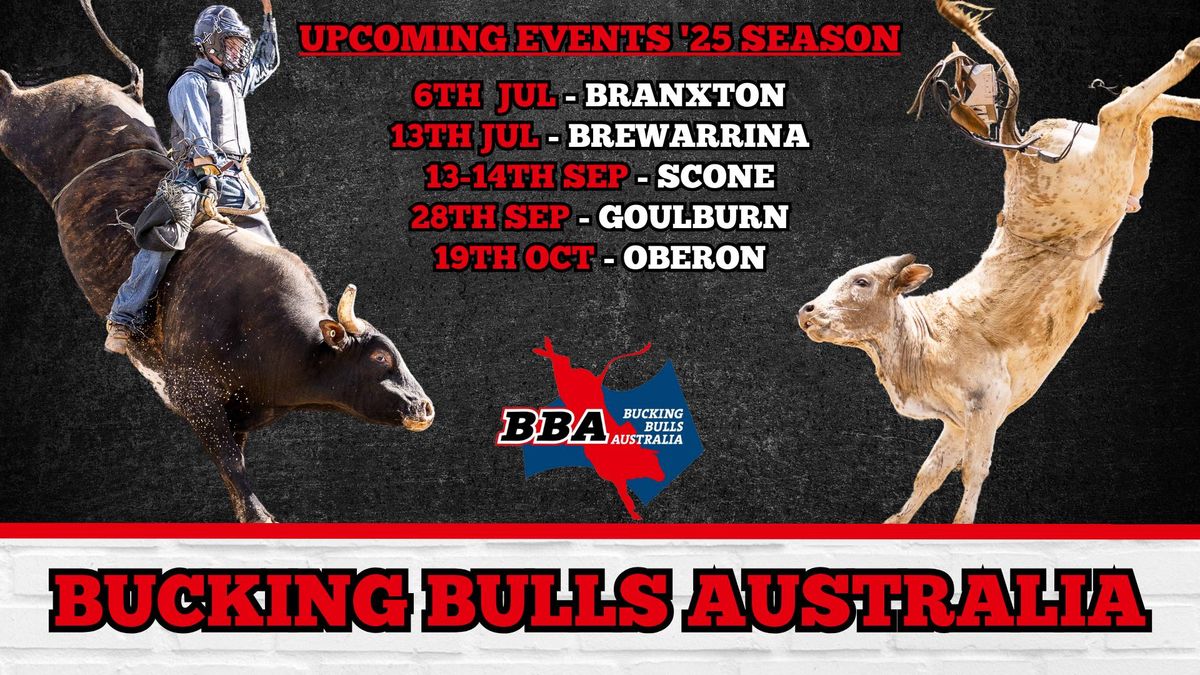 Cootamundra Bull Futurity