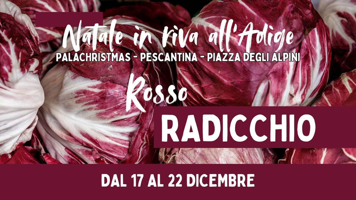 RADICCHIO ROSSO | PalaChristmas Pescantina