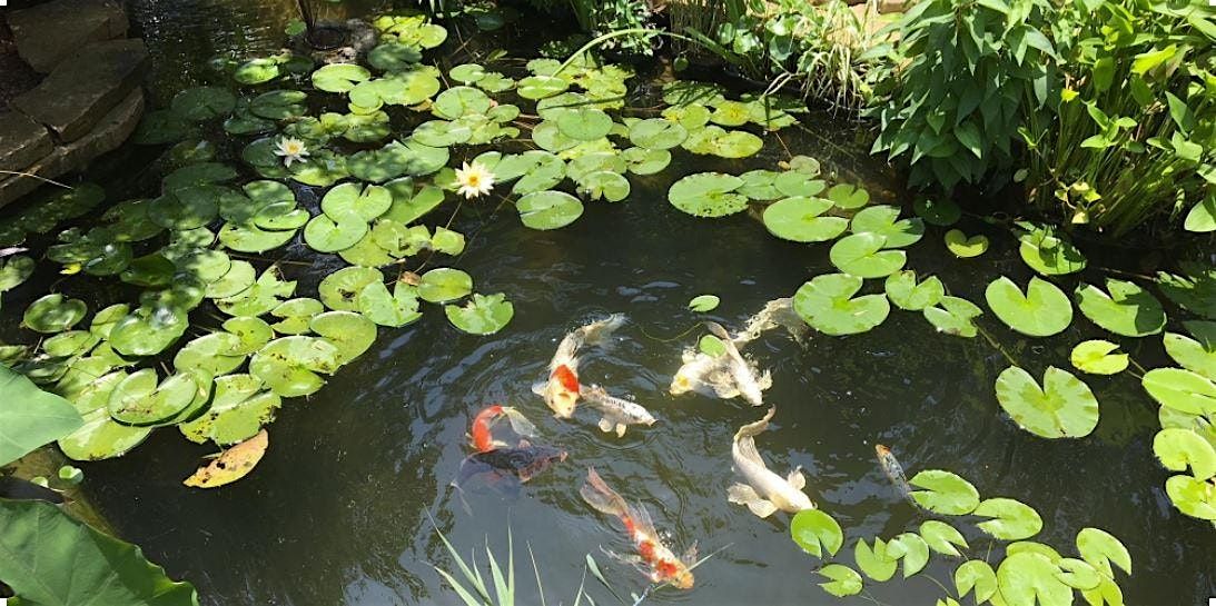 Water Gardening Saturday 2026