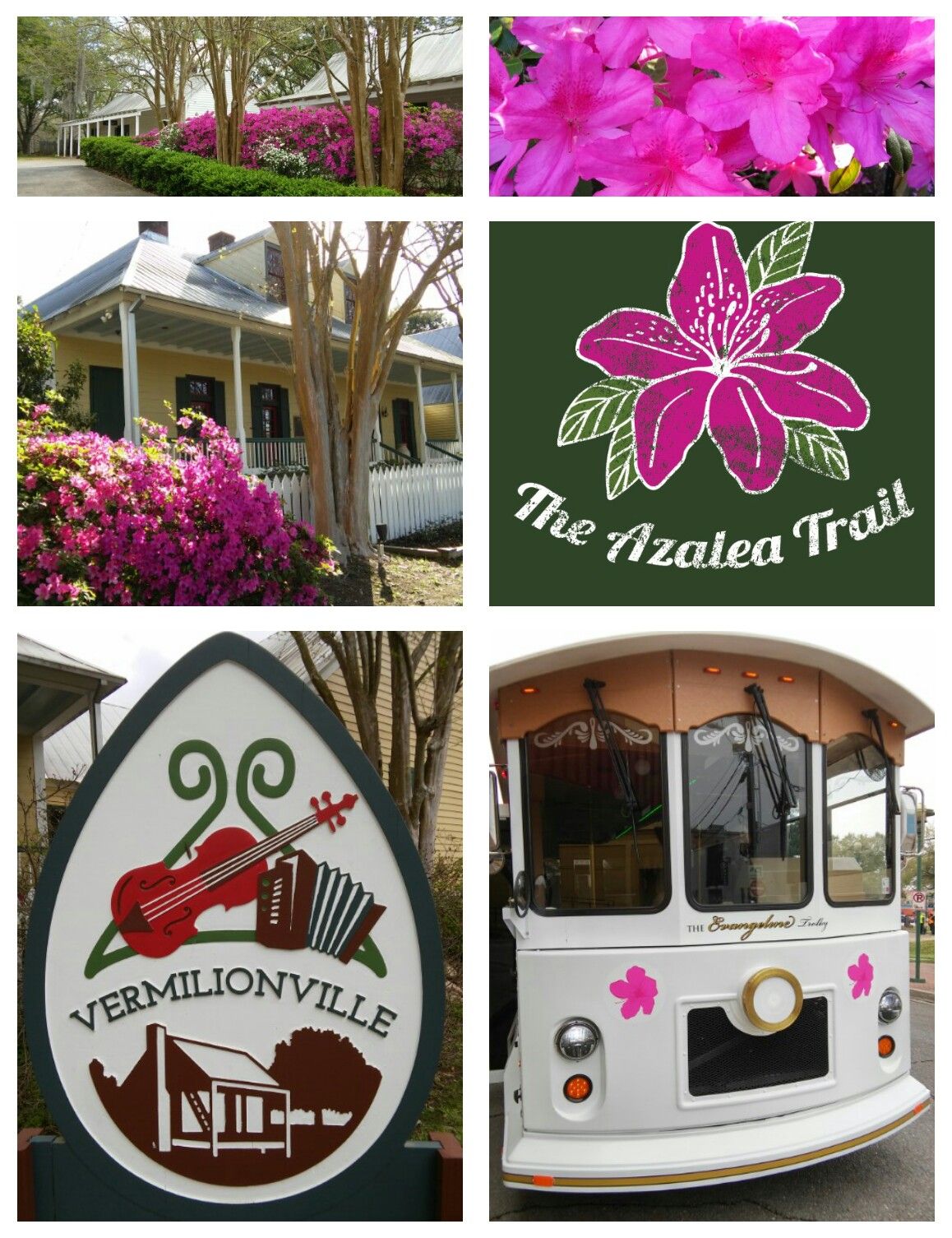 TROLLEY TOUR OF LAFAYETTE HISTORIC AZALEA TRAIL