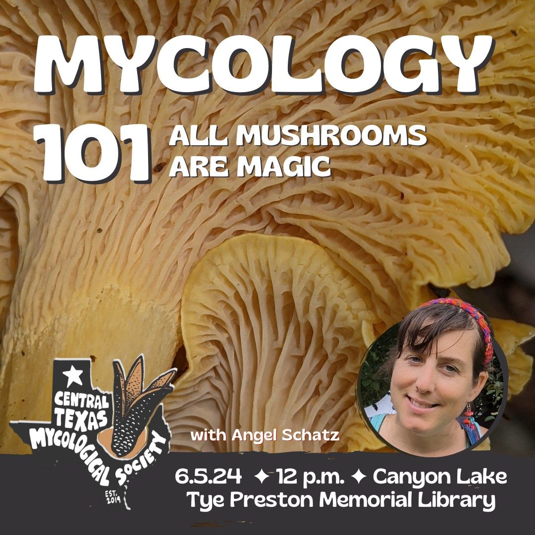 CANYON LAKE: Mycology 101- All Mushrooms are Magic 