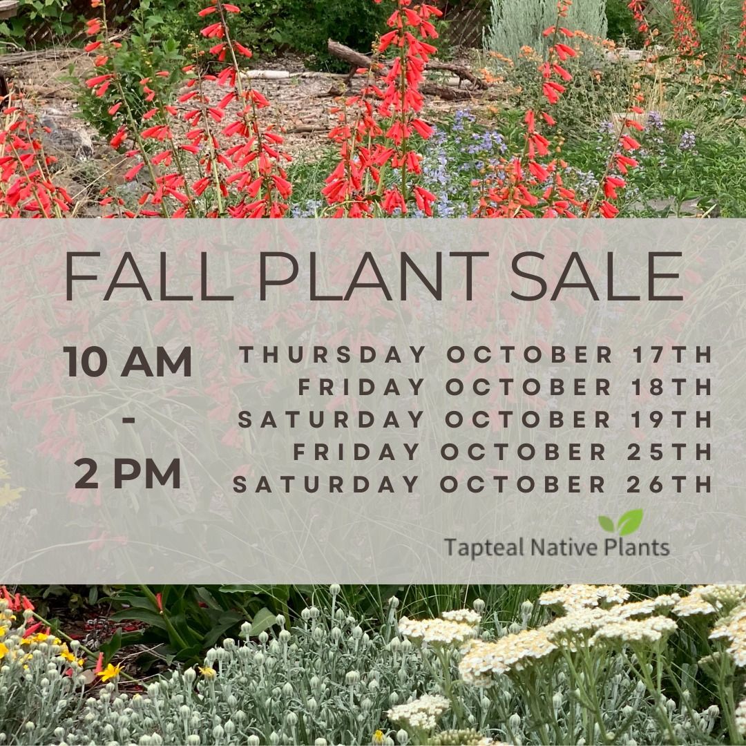 Fall In Person Plant Sales