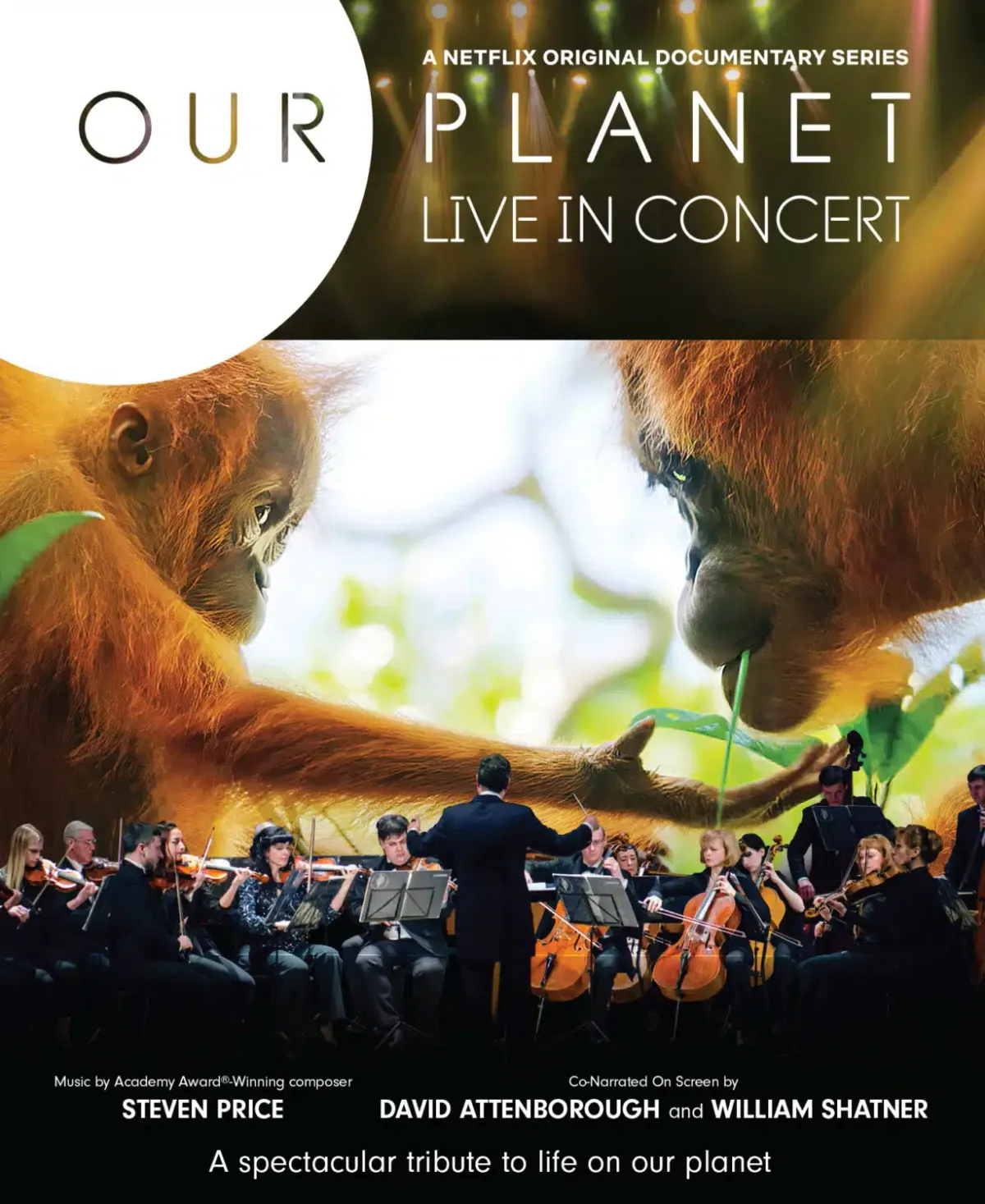 Netflix - Our Planet Live at Grand Theatre Center for the Arts