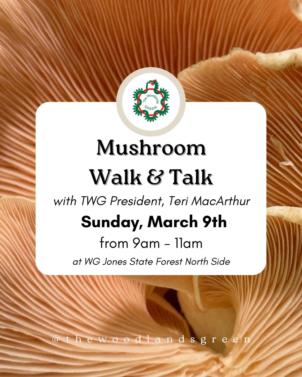 Mushroom Walk & Talk with The Woodlands Green & Teri MacArthur