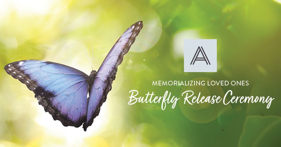 butterfly-release-ceremony-anthology-of-novi-novi-mi-16-june-2022