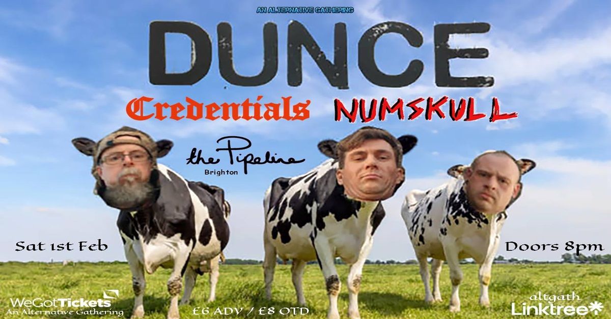 Dunce \/ Credentials \/ Numskull