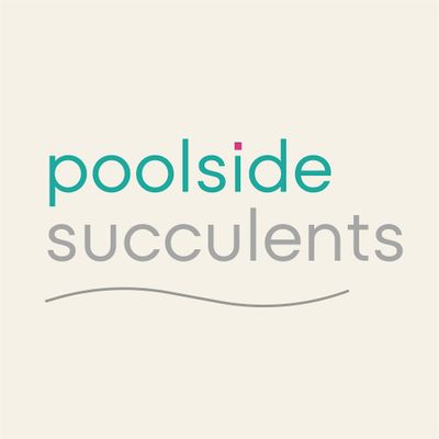 Poolside Succulents