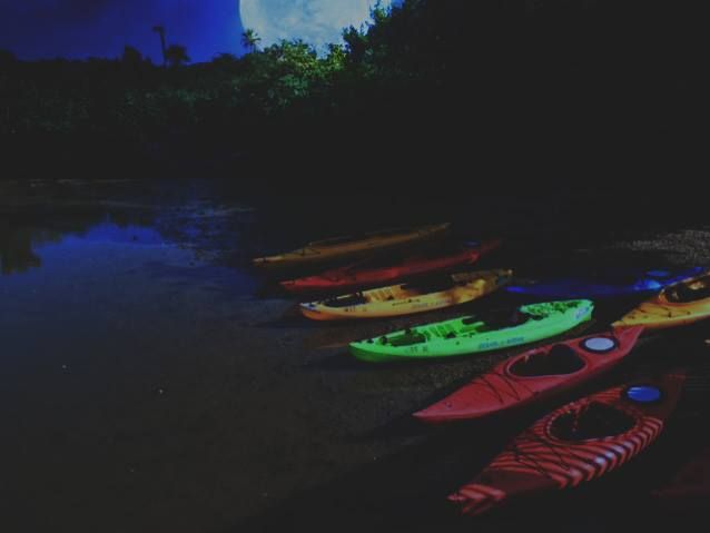 Full Moon Kayak EcoTour