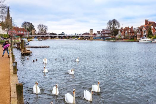 Marlow - the Woods, Villages and Islands of the rural Thames
