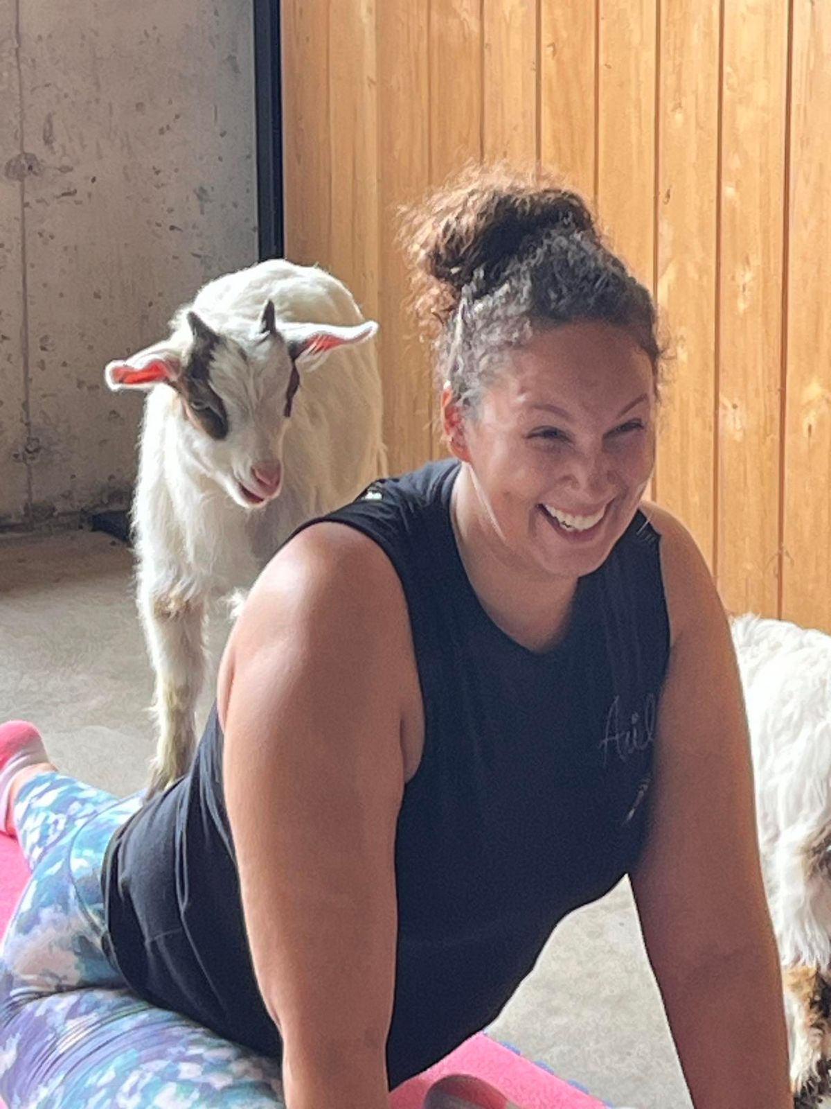 "Goat Yoga" at the Rock Chapel Ranch