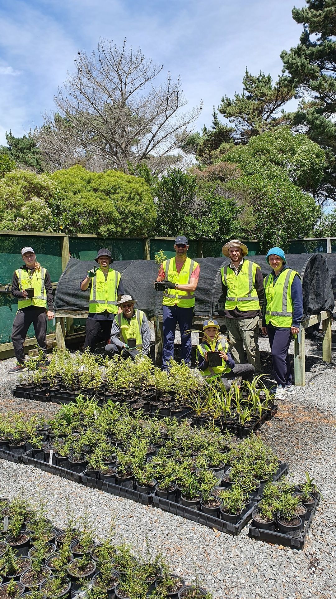 Plant propagation - Tawatawa Nursery