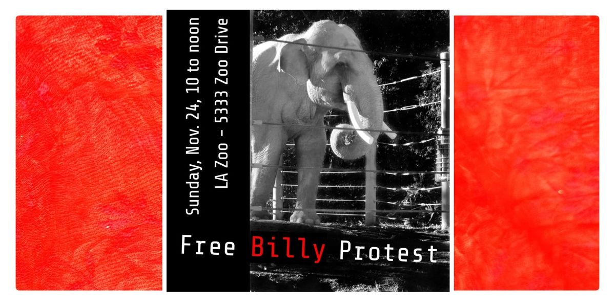 Free Billy Protest