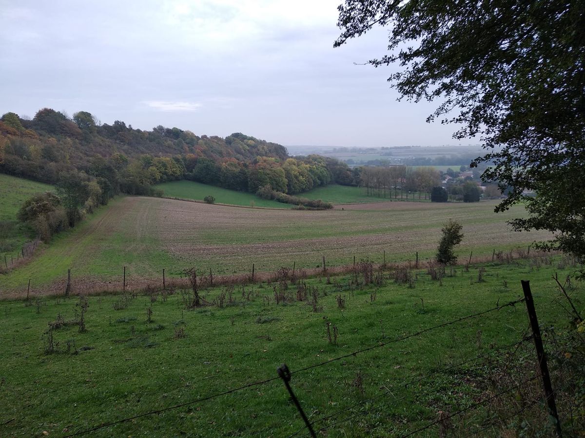 Trail de la Montagnarde 2025