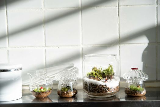 4月18日14 00 苔テラリウム 初級ワークショップ Pin東京都港区新橋5丁目25 3 第2一松ビル4階 株 コンサイド Shinjuku 18 April 21 4月18日14 00 苔テラリウム 初級ワークショップ Pin東京都港区新橋5丁目25 3 第2一松ビル4階 株 コンサイド Shinjuku 18 April 21