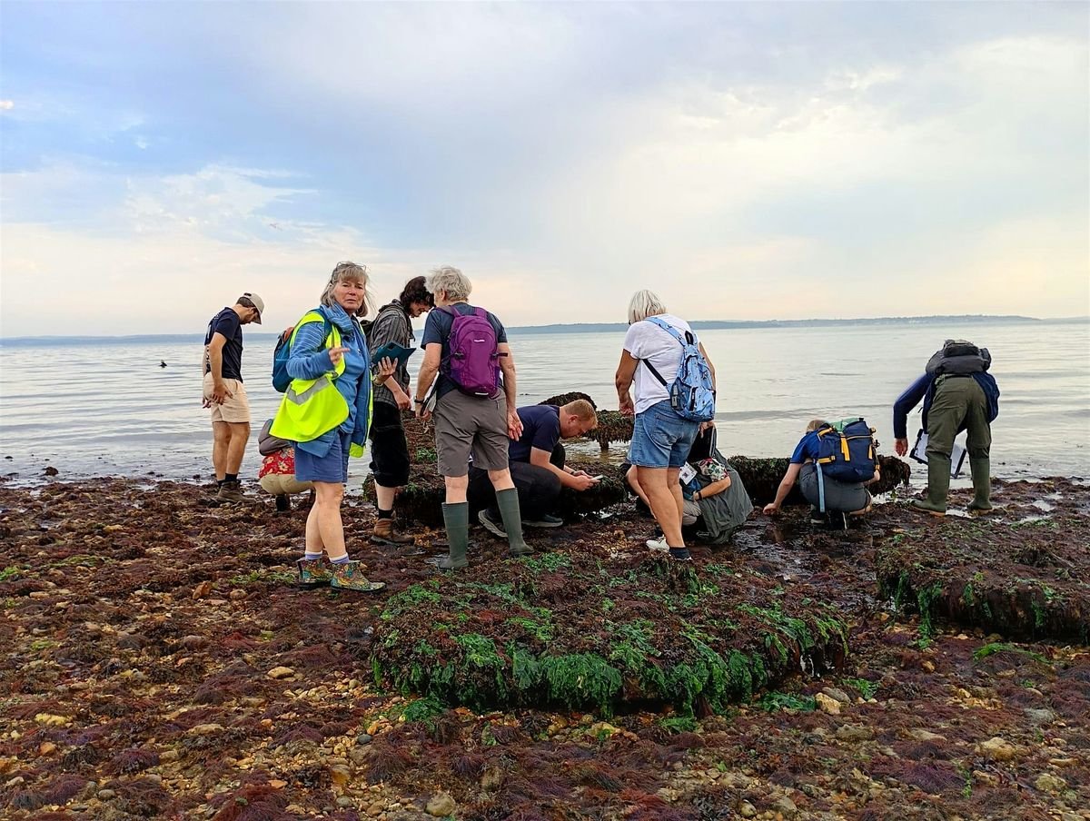 Winter Shore Discovery Sessions - Port Solent