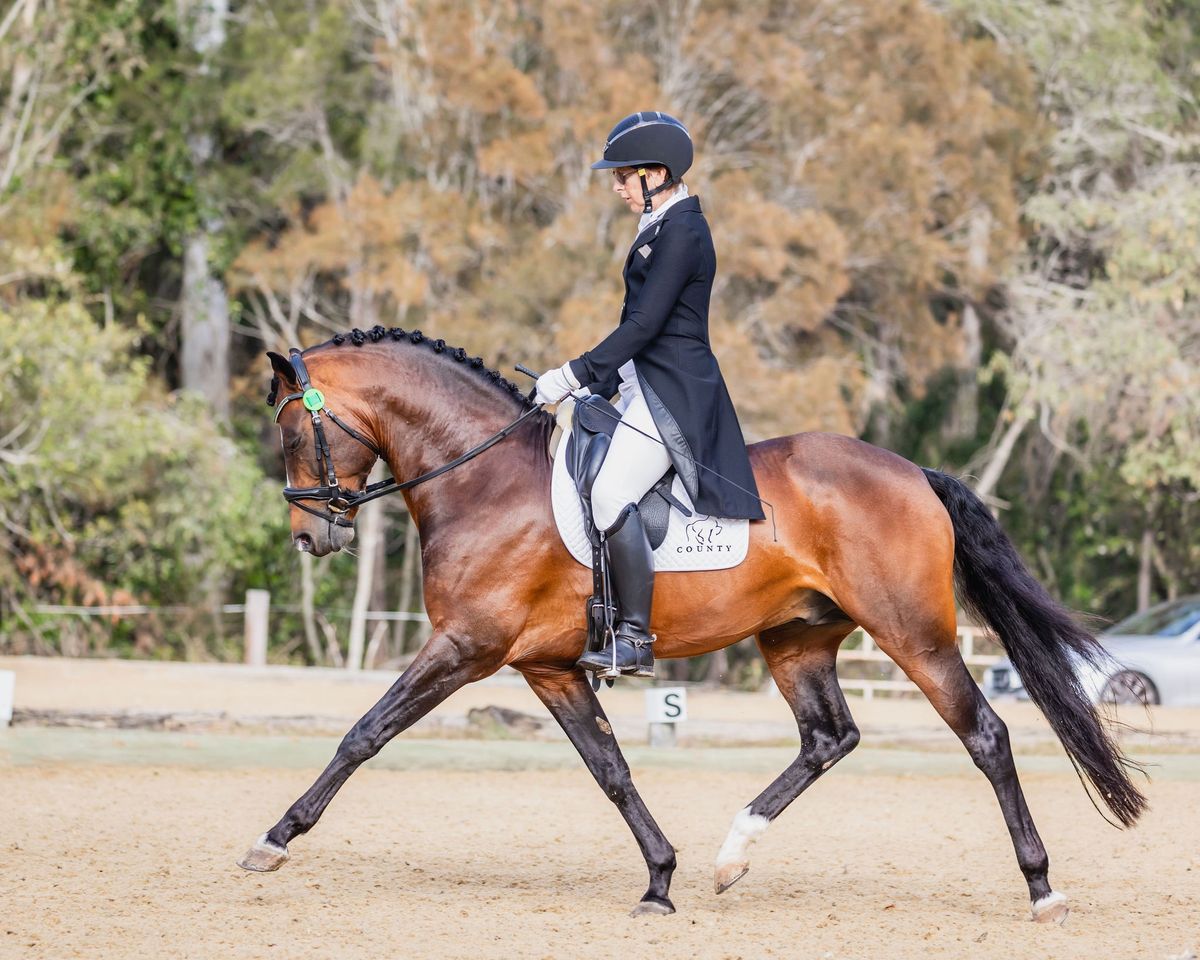 Syd Saddlefitting\/Australian Dressage Champs