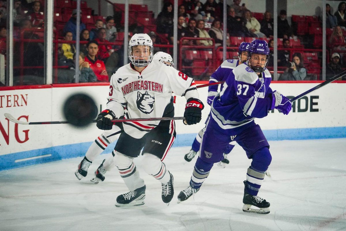 Stonehill Skyhawks at Northeastern Huskies Mens Hockey at Matthews Arena