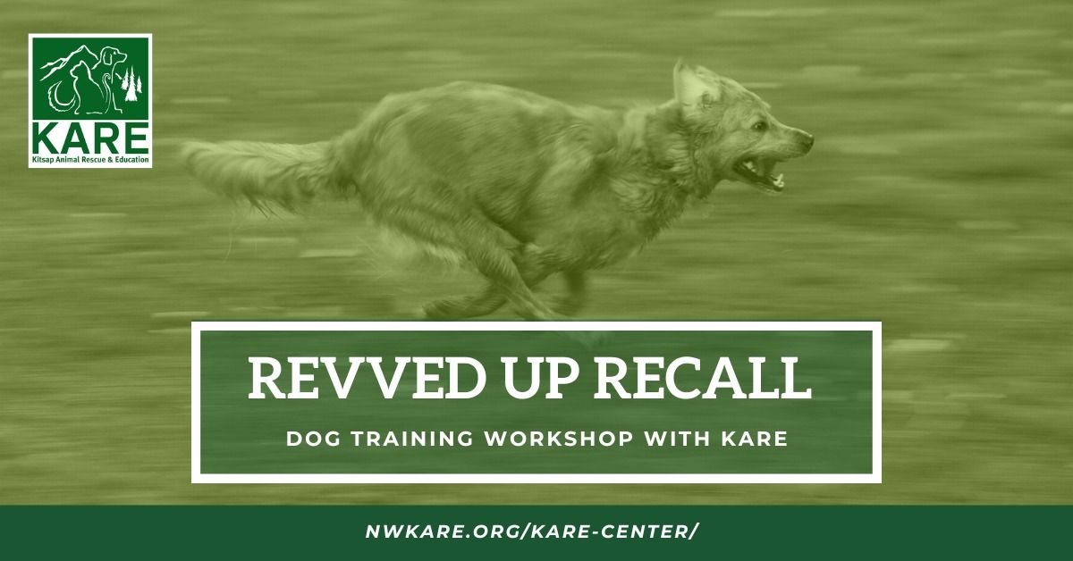 REVVED UP RECALL WORKSHOP