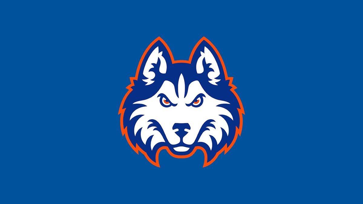 McNeese State Cowboys at Houston Christian Huskies Mens Basketball