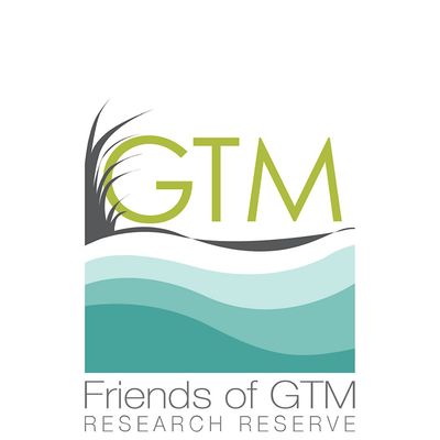 Friends of GTM
