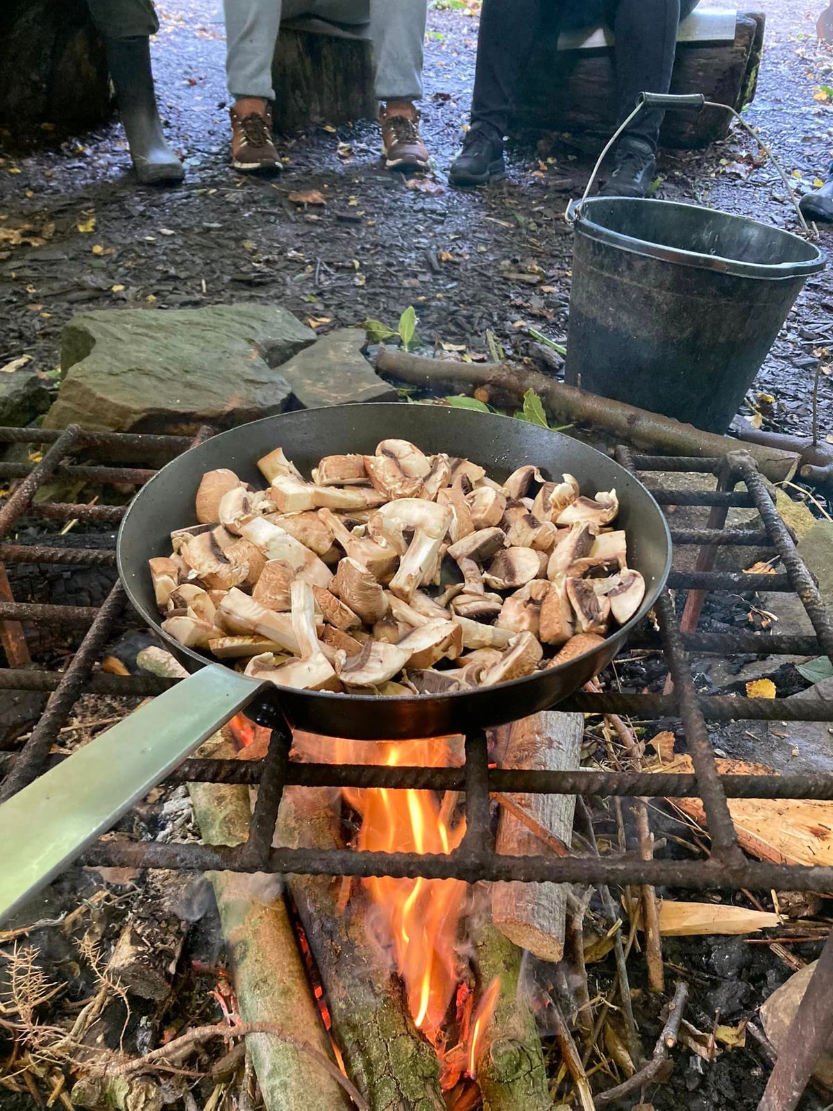 Mushroom foraging walk with David Winnard