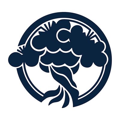 National Bonsai Foundation