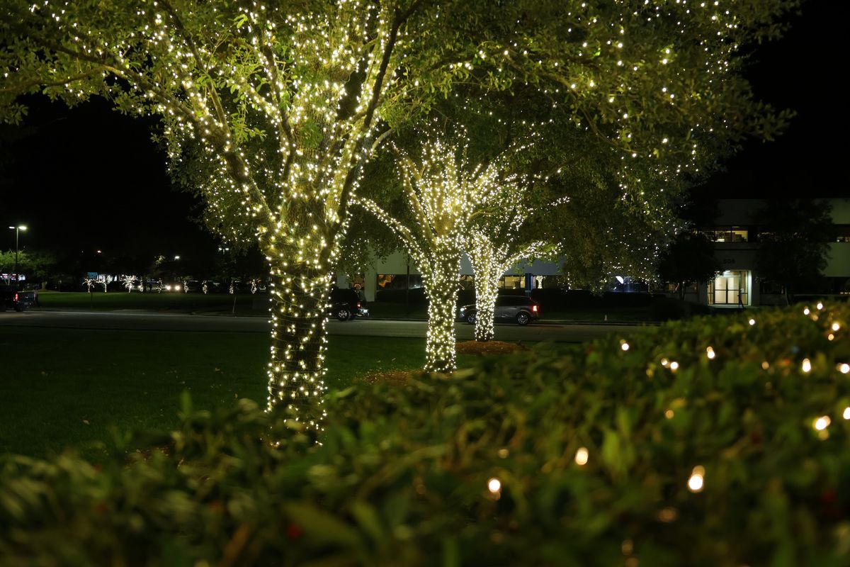 A Light for Someone You Love Hospice Tree Lighting