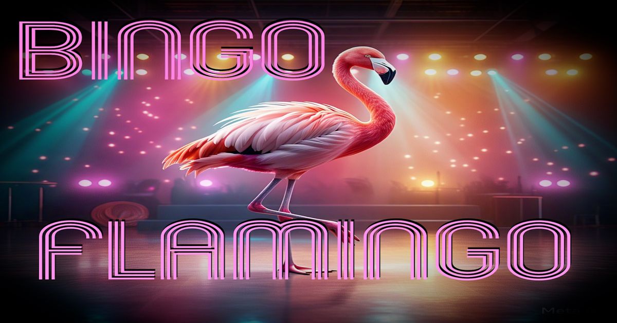 BINGO FLAMINGO PARTY CARROLLTON-This Ain't your Granny's Bingo! ! 