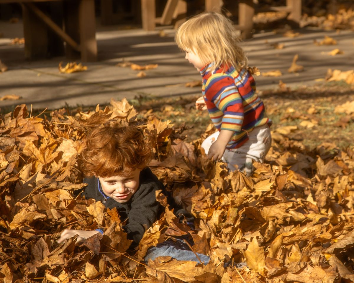 Fall Nature Fun Day at Columbia Springs