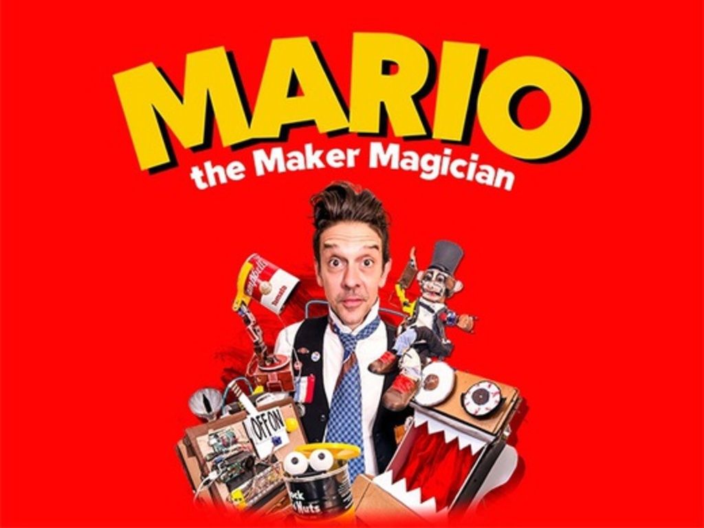 Mario The Maker Magician