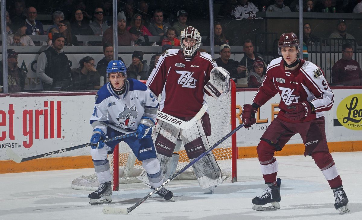 Windsor Spitfires vs. Peterborough Petes at WFCU Centre