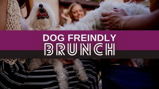 Dog Friendly Brunch in Downtown Delray Beach, Death or Glory Bar